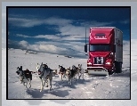 Śnieg, Psy, Zaprzęg, Ciężarówka